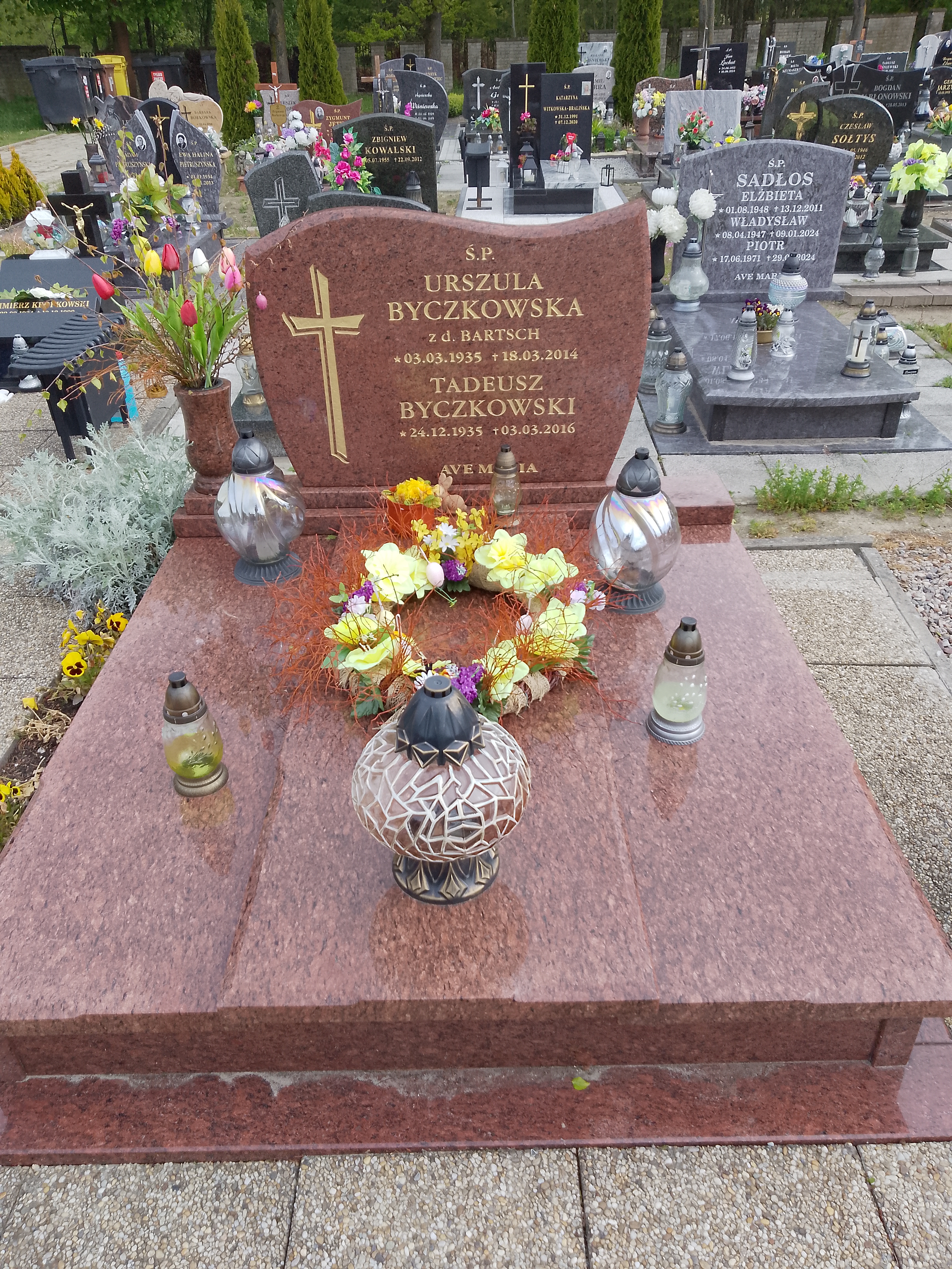 Grób Tadeusz Byczkowski