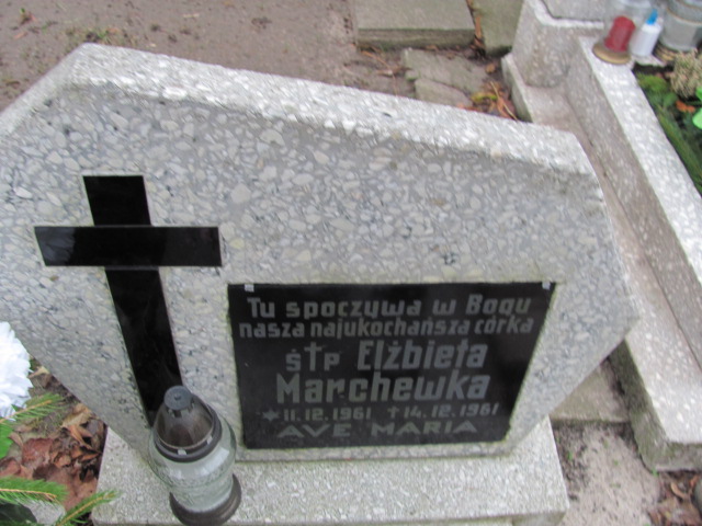 Elżbieta Marchewka 1961 Sztum - Grobonet - Wyszukiwarka osób pochowanych